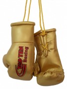 Сувенирные мини боксерские перчатки TOP TEN Boxing фото